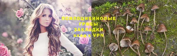 ECSTASY Новодвинск