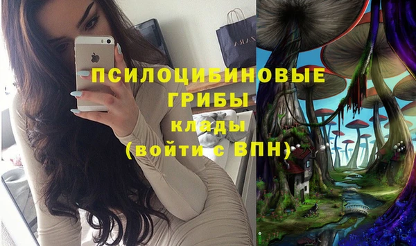не бодяженный Новозыбков